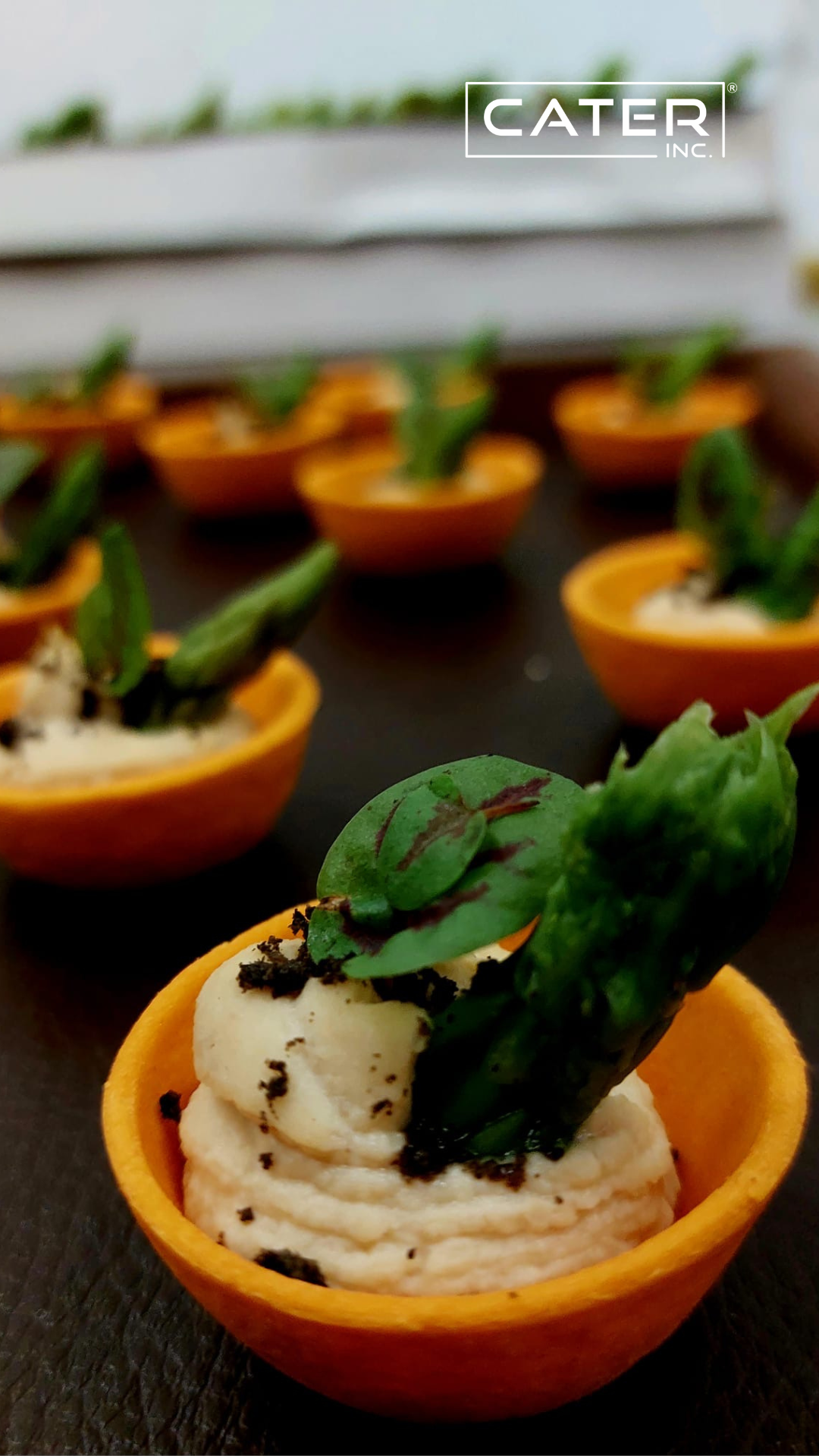 house party catering ideas