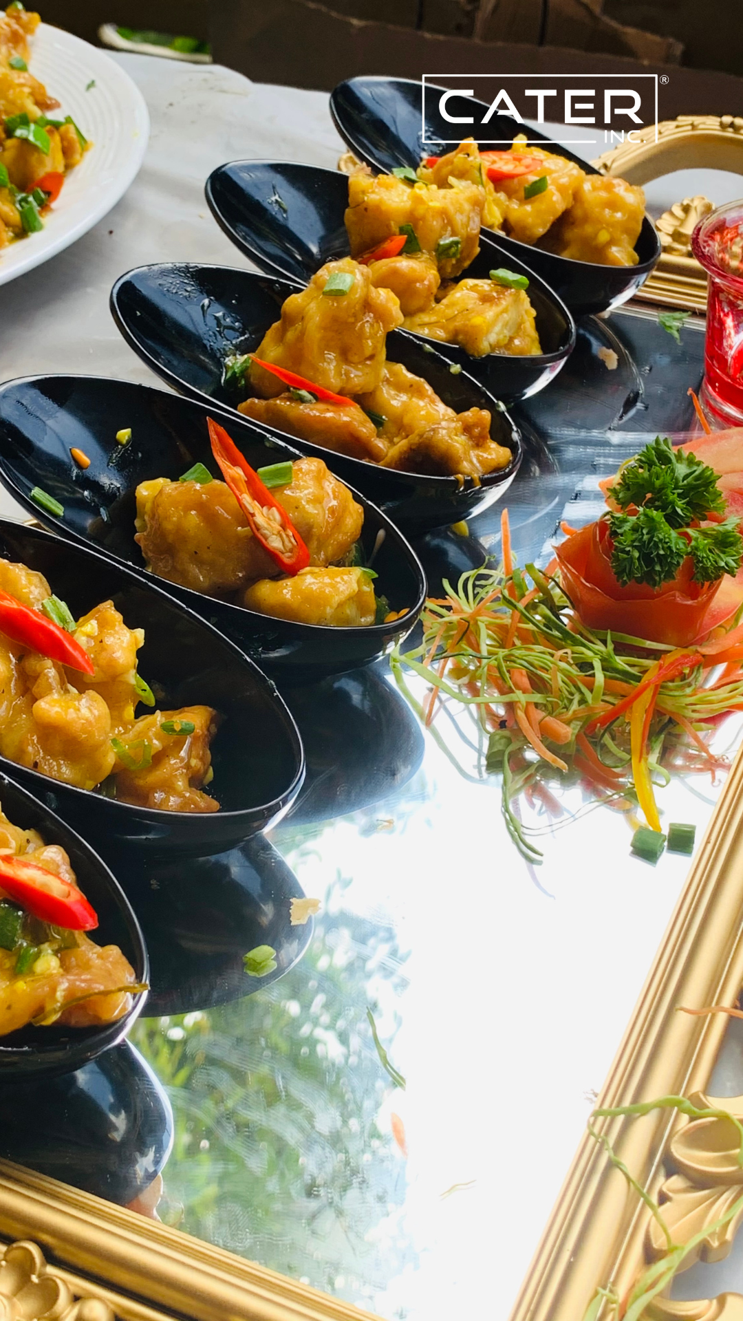 small house party catering in gujarat